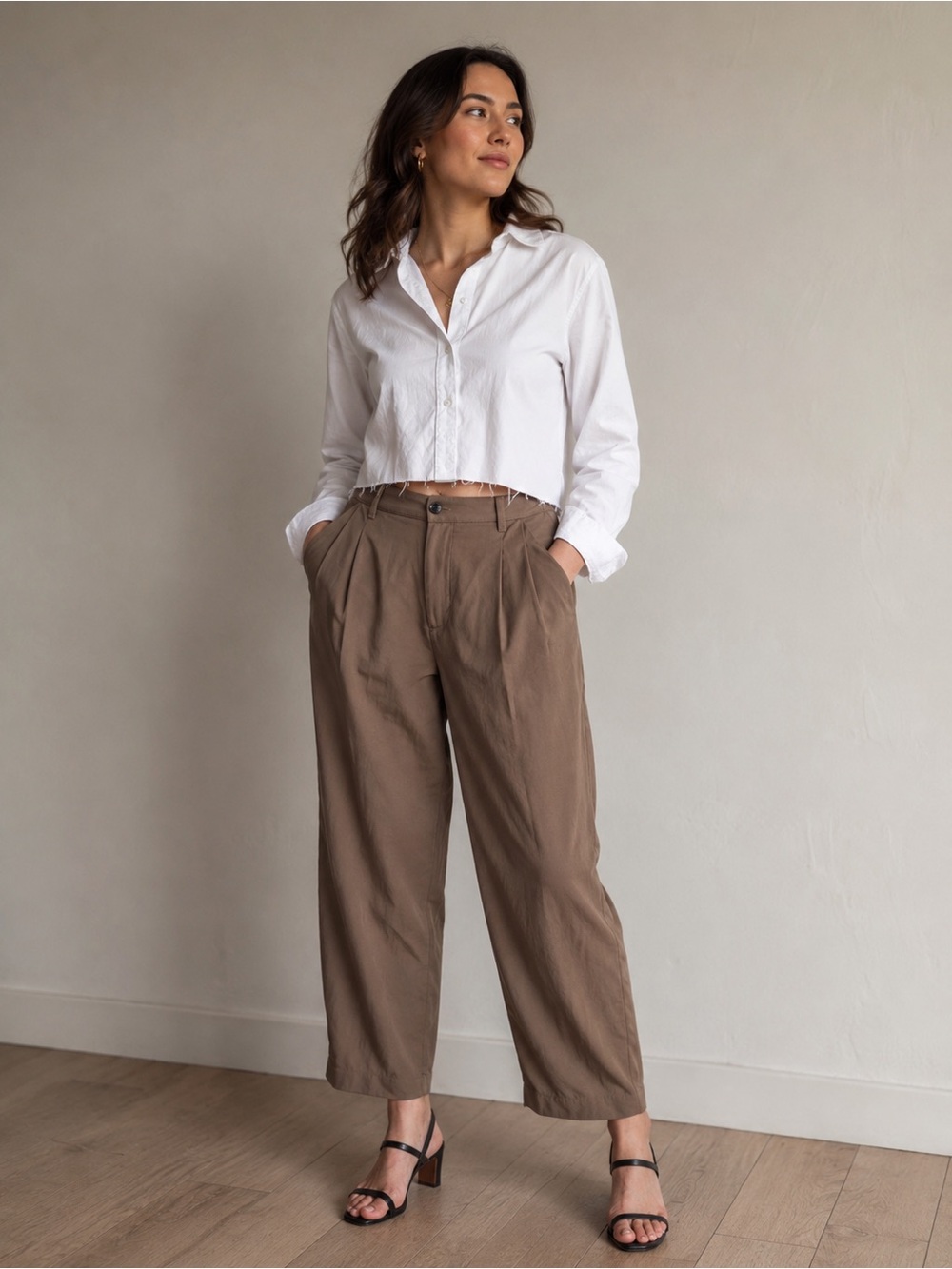 Madewell Brown Barroway Wide Leg Crop Trousers Pleated Pant Sz 14 Quiet Luxury